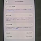 iPhone 17 Pro Max 256GB ����С� SIM�ե꡼