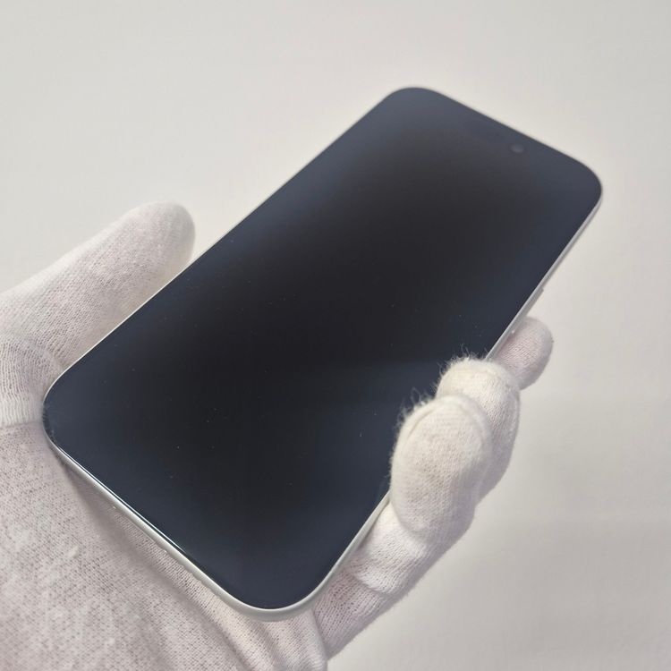 iPhone 17 Pro 256GB ����С� SIM�ե꡼