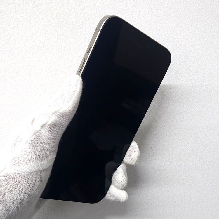 iPhone 15 Pro Max 256GB SIMե꡼ ʥA