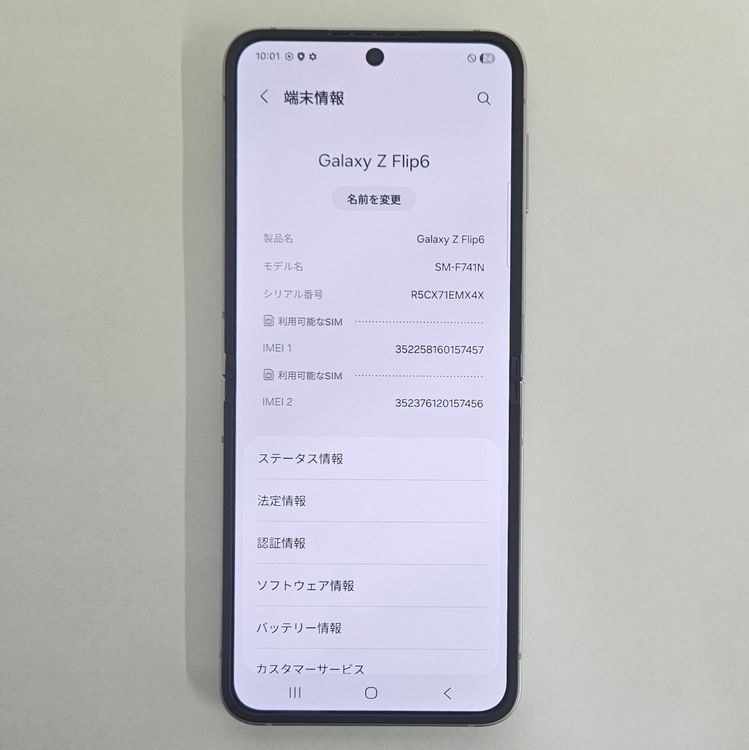 FLIP6 256GB ����С� SIM�ե꡼ A���