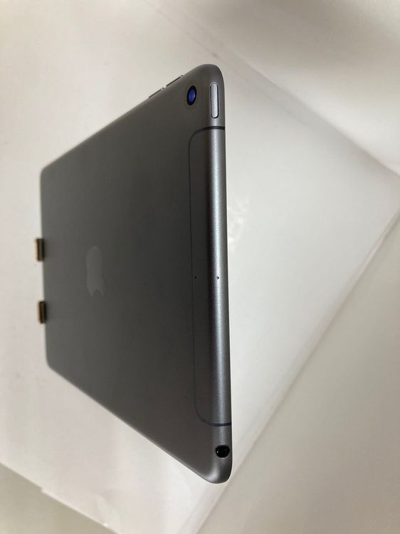 iPad mini 5 256GB ڡ쥤