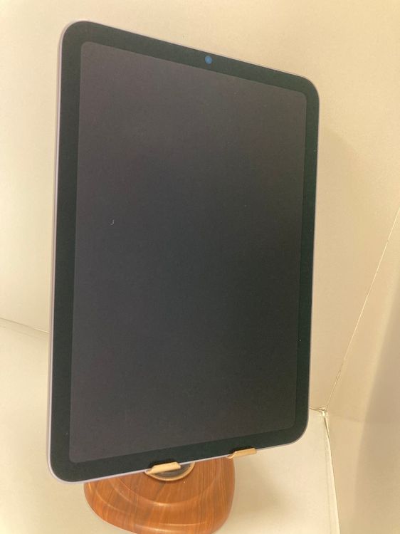 iPad mini (裶) Wi-Fi 256GB