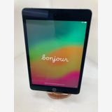 iPad mini 5 256GB ڡ쥤