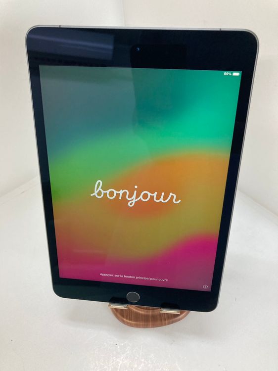 iPad mini 5 256GB ڡ쥤
