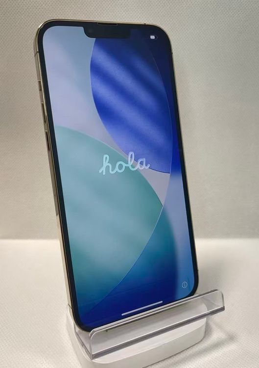 �Хåƥ꡼85��iPhone13 Pro Max 512GB �������  ����SIM�ե꡼�¿��ݾ�