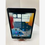 iPad mini 5  Cellularǥ SIMե꡼ 64GBХƥå95