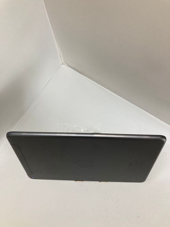 iPad mini 5 256GB ڡ쥤