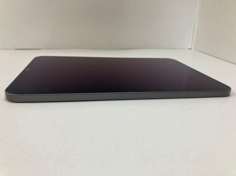 iPad mini (裶) Wi-Fi 256GB ڡ쥤ʥХƥå80ȯ