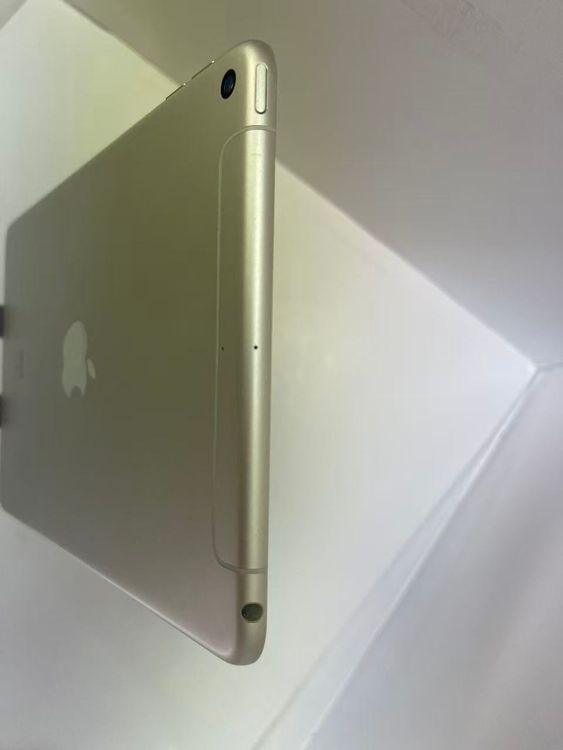 iPad mini 5 Wi-Fi + Cellularǥ SIMե꡼ 64GB