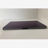 iPad mini (裶) Wi-Fi 256GB ڡ쥤ʥХƥå80ȯ