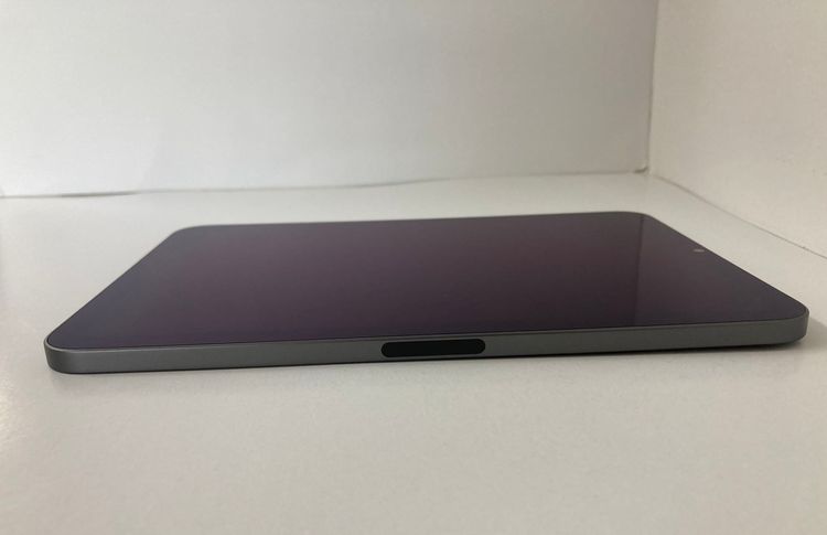 iPad mini (裶) Wi-Fi 256GB ڡ쥤ʥХƥå80ȯ