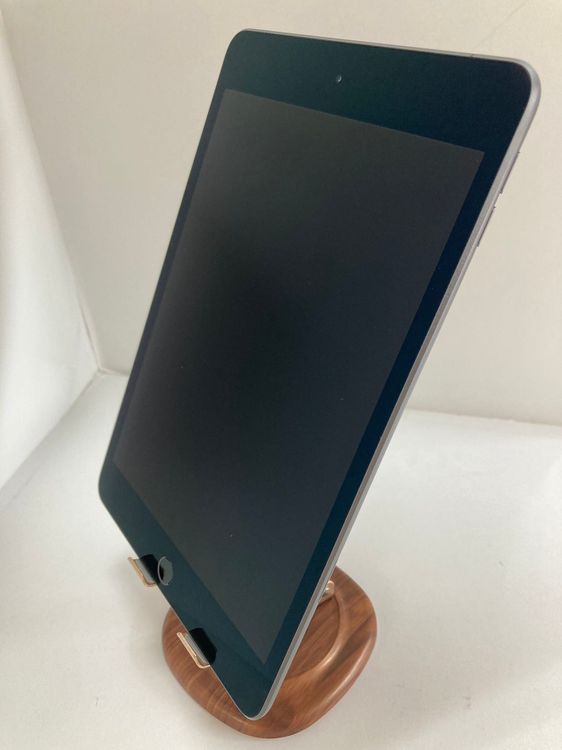 iPad mini 5 256GB ڡ쥤