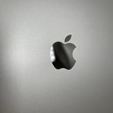 iPad 8 Wi-Fi+Cellular  32GB С  SIMåѤ