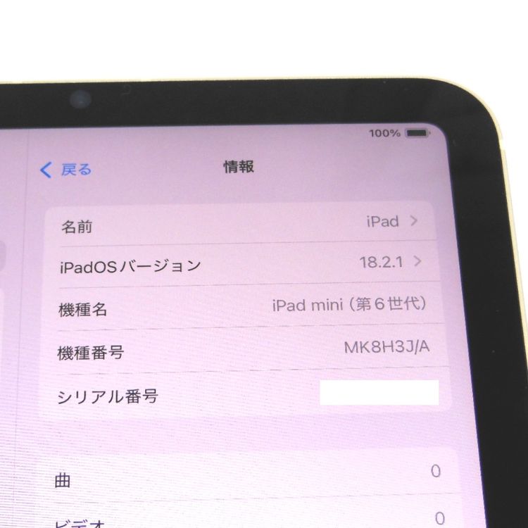 �ڼ��ߤʤߡ�NA109 iPad mini 8.3����� ��6���� 256GB �������饤�� ����