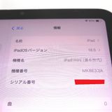 �ڼ��ߤʤߡ�NA112 iPad mini 8.3����� ��6���� 64GB �ѡ��ץ� ���