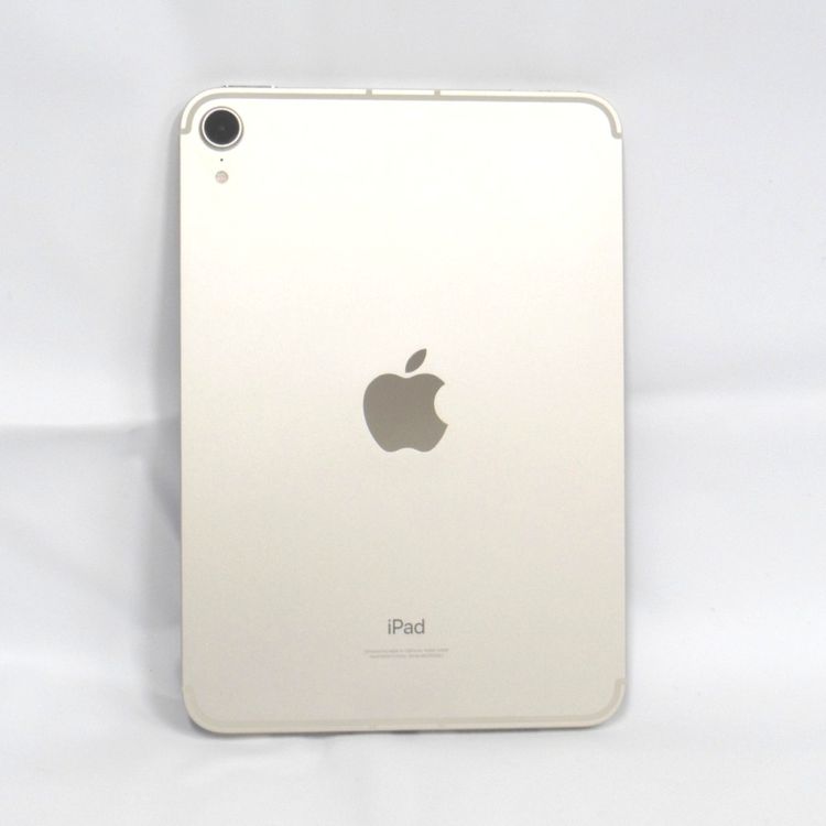 �ڼ��ߤʤߡ�NA109 iPad mini 8.3����� ��6���� 256GB �������饤�� ����