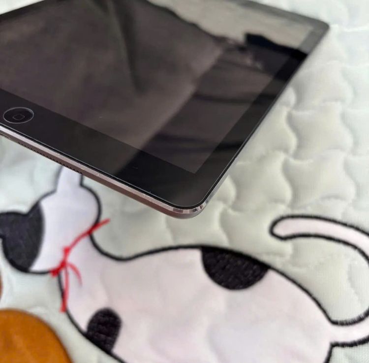 ipad air 9.7 inch����̡�����ʡ����ΤΤߡ�