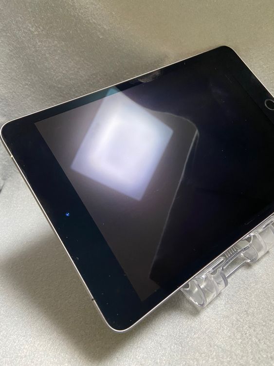  SIMե꡼ iPad mini 5 256GB Wi-Fi+Cellular