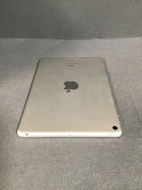 ʡǡiPad mini 5塡 64GB С