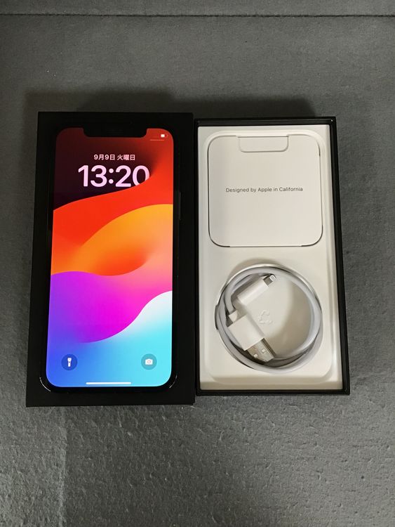 ʡǡSIMե꡼iPhone12  Pro  256GB ѥեå֥롼