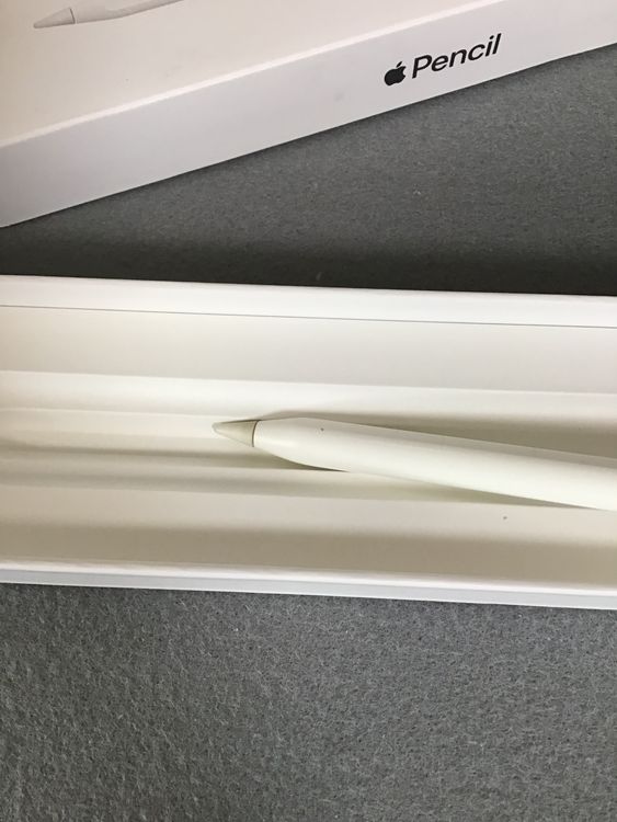 šǡApple  Pencil 2塡MU8F2J/A