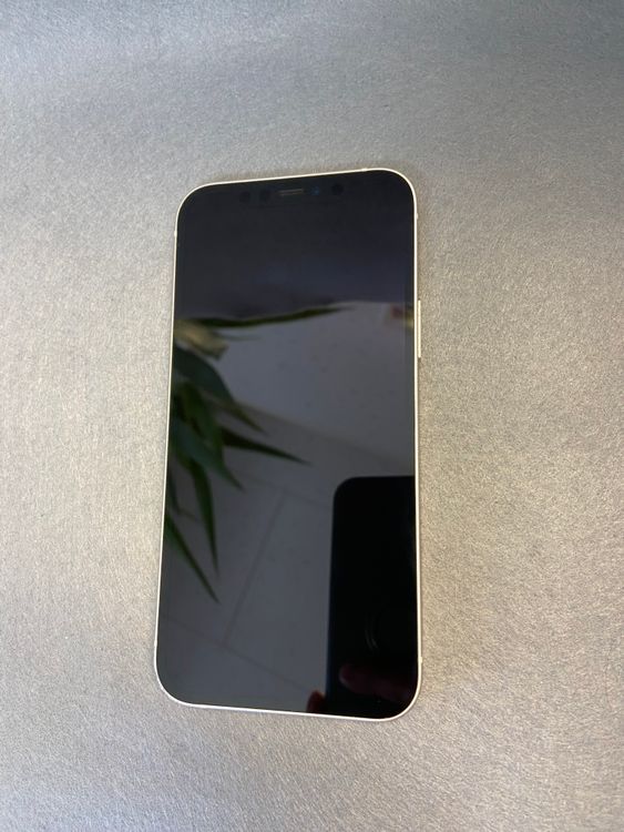 ���� �������� SIM�ե꡼ iPhone12 64GB �ۥ磻�ȿ�