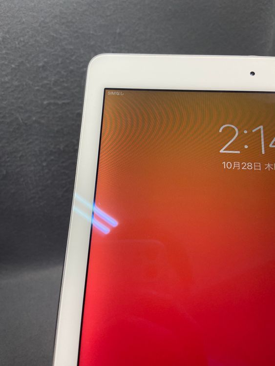 ���� ������ SIM�ե꡼ Cellular�ǡ�iPad Air2 32GB ����С���