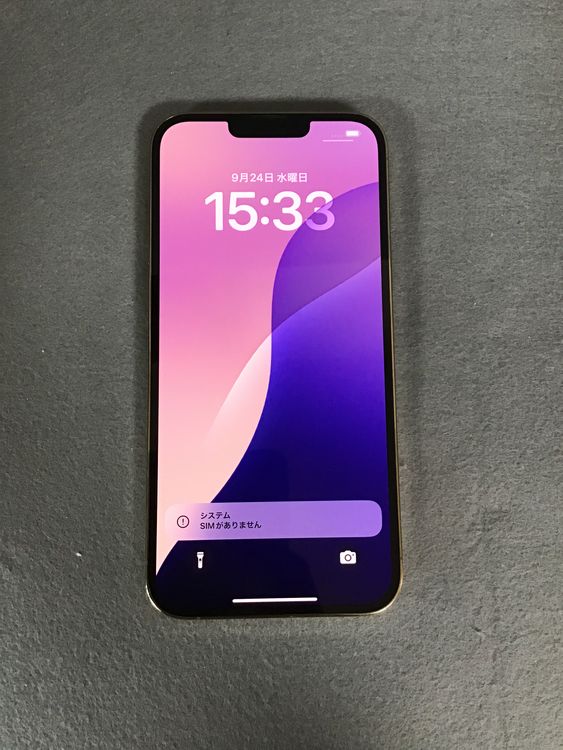 ĶʡAppleȥǡSIMե꡼iPhone13  Pro Max   128GB