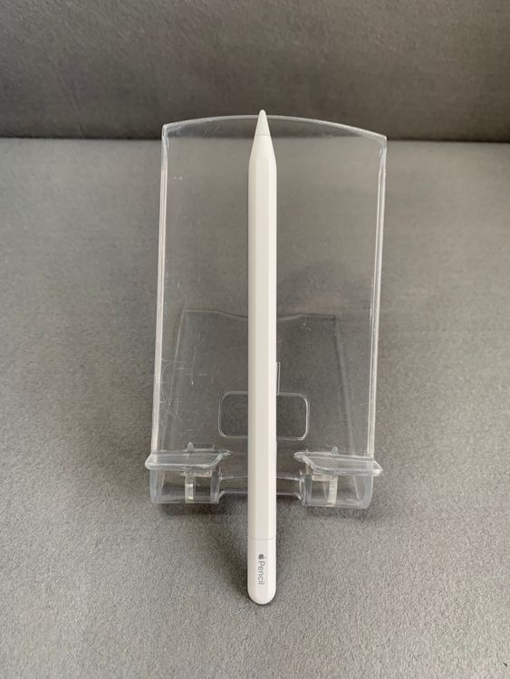 Ķ���� Apple Pencil USB-C �ۥ磻�ȿ�