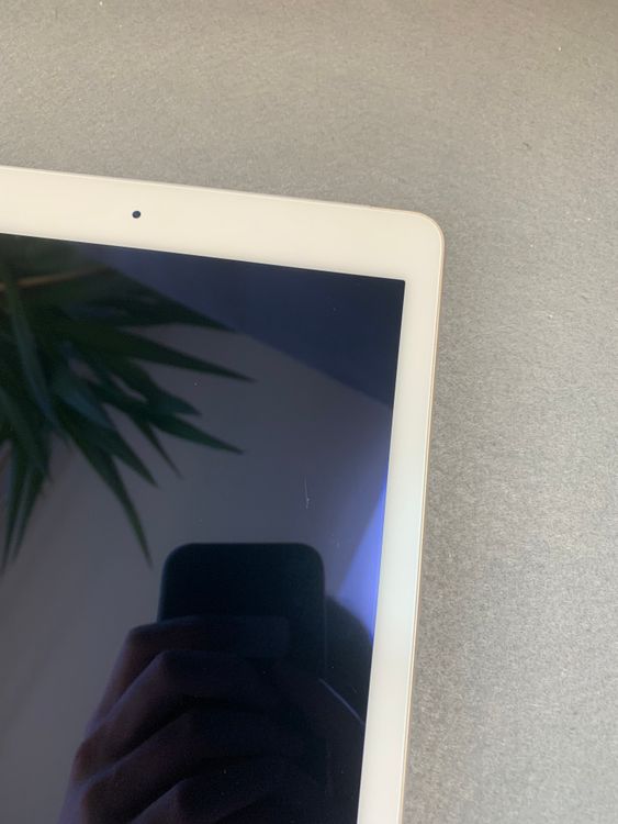   SIMե꡼ iPad Air2 16GB Wi-Fi+Cellular ɿ