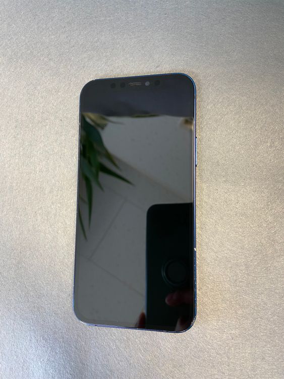 ��� ������ SIM�ե꡼ iPhone12 128GB �֥롼��