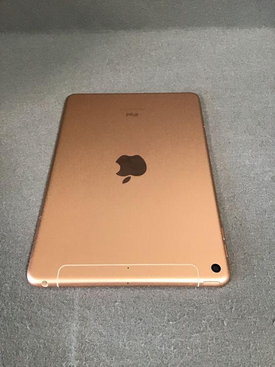 ʡWi-FicellularǡiPad mini 5塡 64GB ɿ
