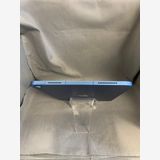 Ķ���� SIM�ե꡼ iPad ��10���� 256GB Wi-Fi+Cellular�� �֥롼��