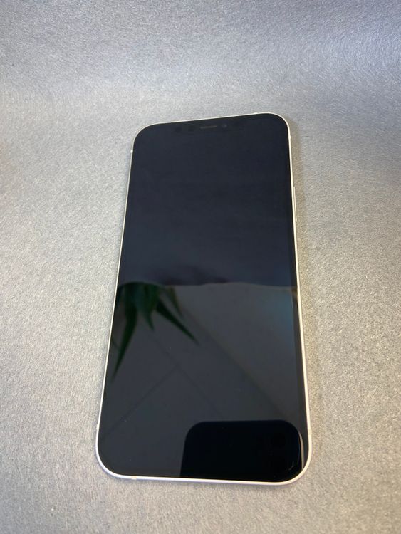 Ķ���� ������ SIM�ե꡼ iPhone12��64GB �ۥ磻�ȿ�