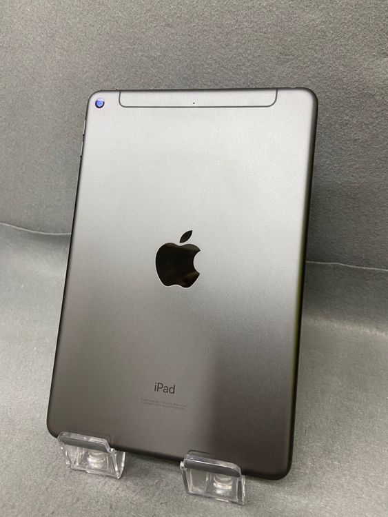 ���� ������ iPad mini ��5���� 256GB Wi-Fi+Cellular��
