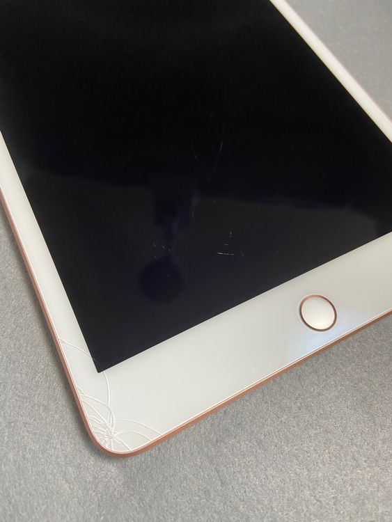  SIMե꡼ iPad mini 5 64GB Wi-Fi+Cellular