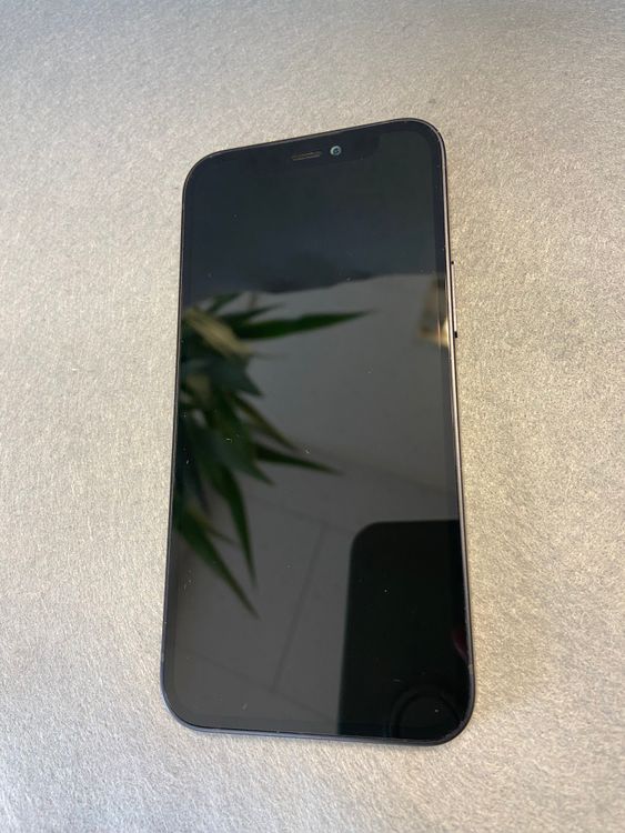 Ķ���ʡ������ǡ�SIM�ե꡼��iPhone12 mini 128GB �֥�å���