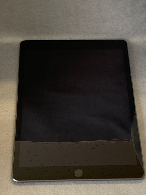Ķ���ʡ������ǡ�iPad ��9���塡256GB Wi-Fi�ǡ����ڡ������졼��