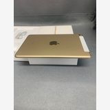 ���� SIM�ե꡼ iPad mini ��4����  16GB Wi-Fi+Cellular��
