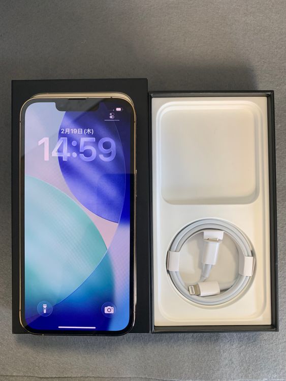 ���ʡ������ǡ�SIM�ե꡼��iPhone13 Pro 1TB��������ɿ�