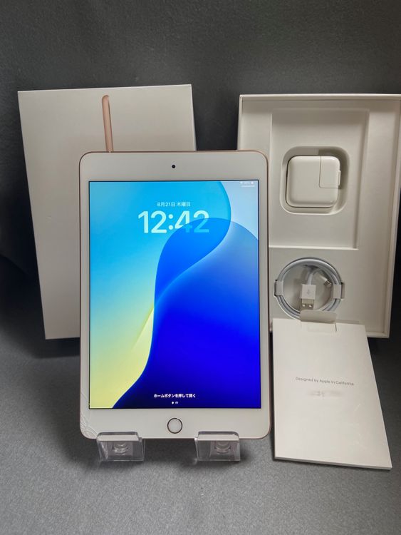  SIMե꡼ iPad mini 5 64GB Wi-Fi+Cellular