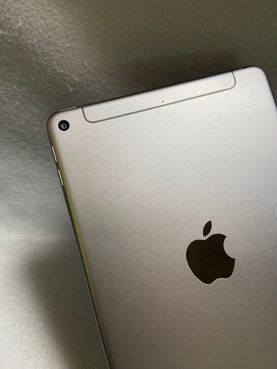  SIMե꡼ iPad mini 5 256GB Wi-Fi+Cellular