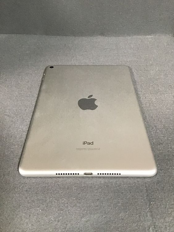 ʡǡiPad mini 5塡 64GB С