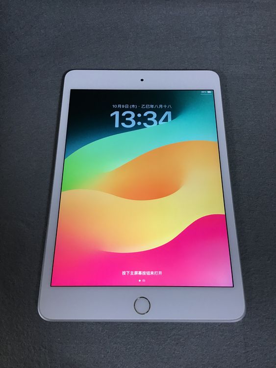 ʡǡiPad mini 5塡 64GB С