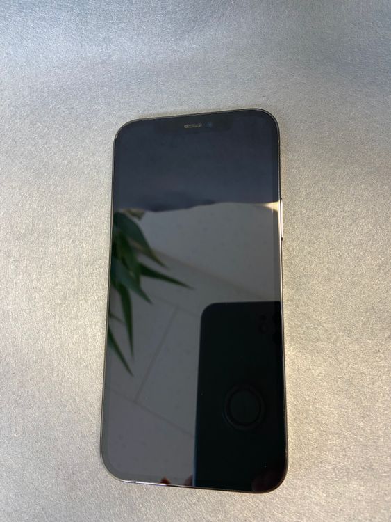 Ķ���� ������ SIM�ե꡼ iPhone12 Pro 256GB ������ɿ�