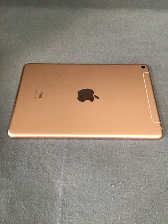 ʡWi-FicellularǡiPad mini 5塡 64GB ɿ