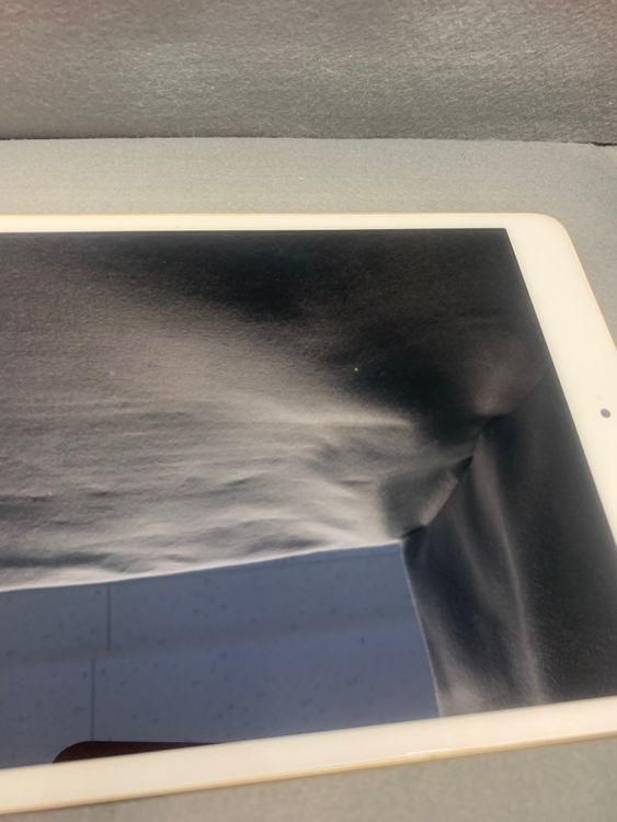 ���� ������ iPad mini ��3���� 7.9����� 16GB Wi-Fi�� ������ɿ�