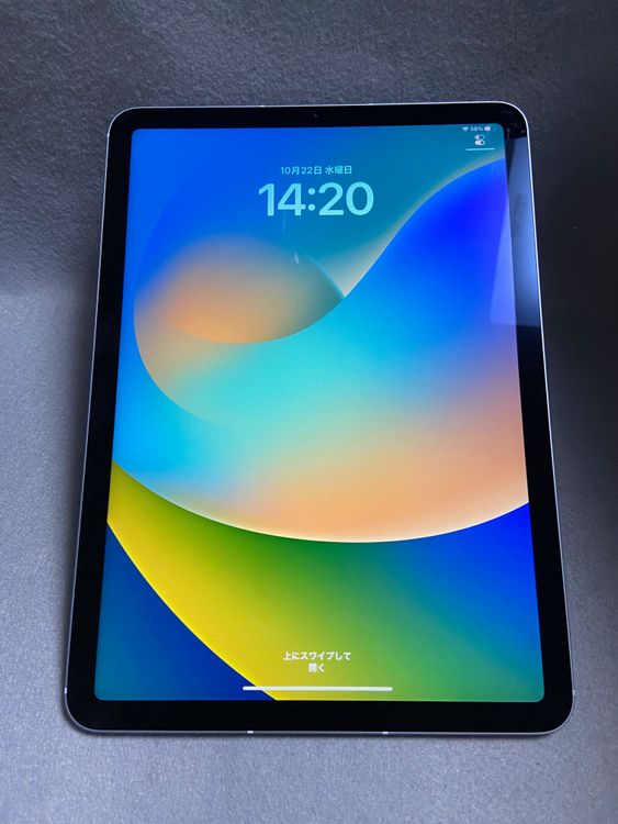   SIMե꡼ iPad Air 4 64GB WiFi+Cellular ֥롼
