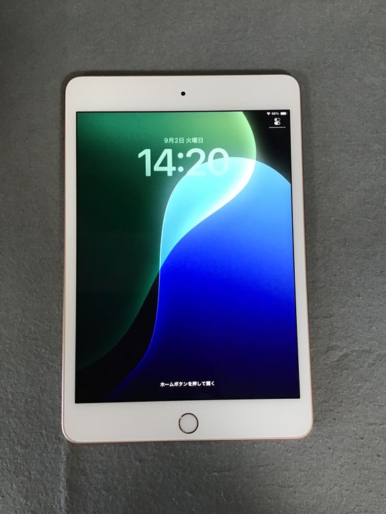 ʡWi-FicellularǡiPad mini 5塡 64GB ɿ