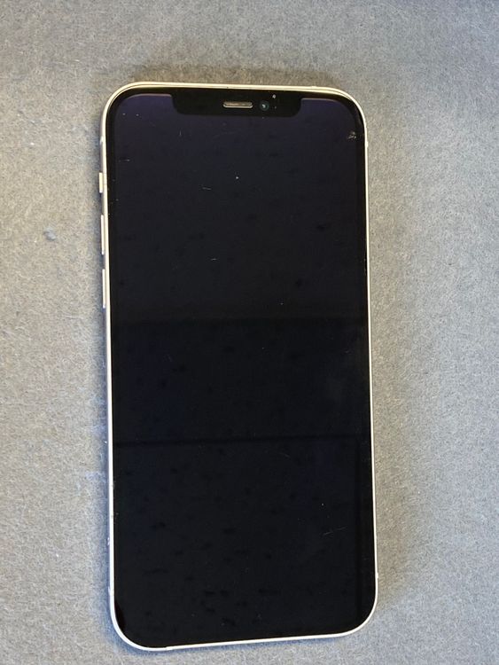 ��š������ǡ�SIM�ե꡼��iPhone12 64GB �ۥ磻�ȿ�